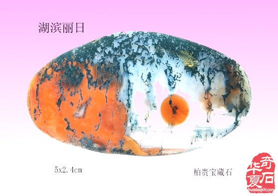 开创玩石新天地，收藏愉悦好心情 