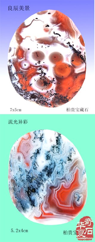 开创玩石新天地，收藏愉悦好心情 