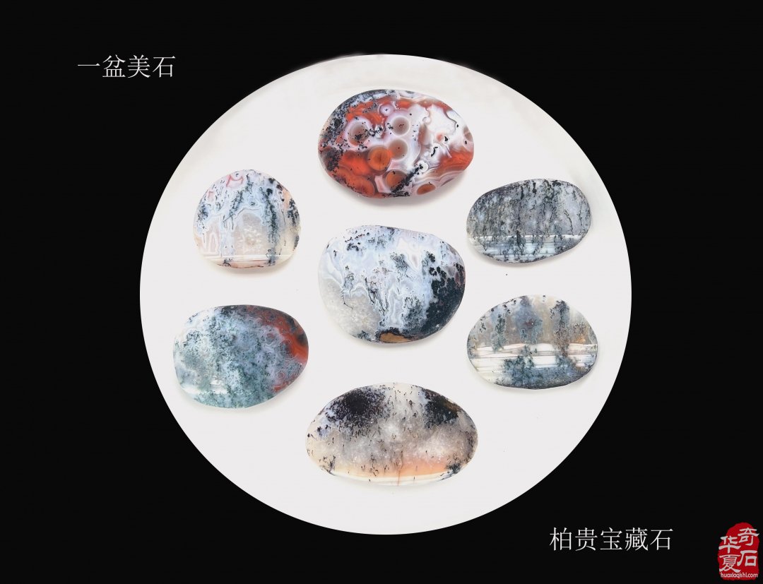 开创玩石新天地，收藏愉悦好心情 