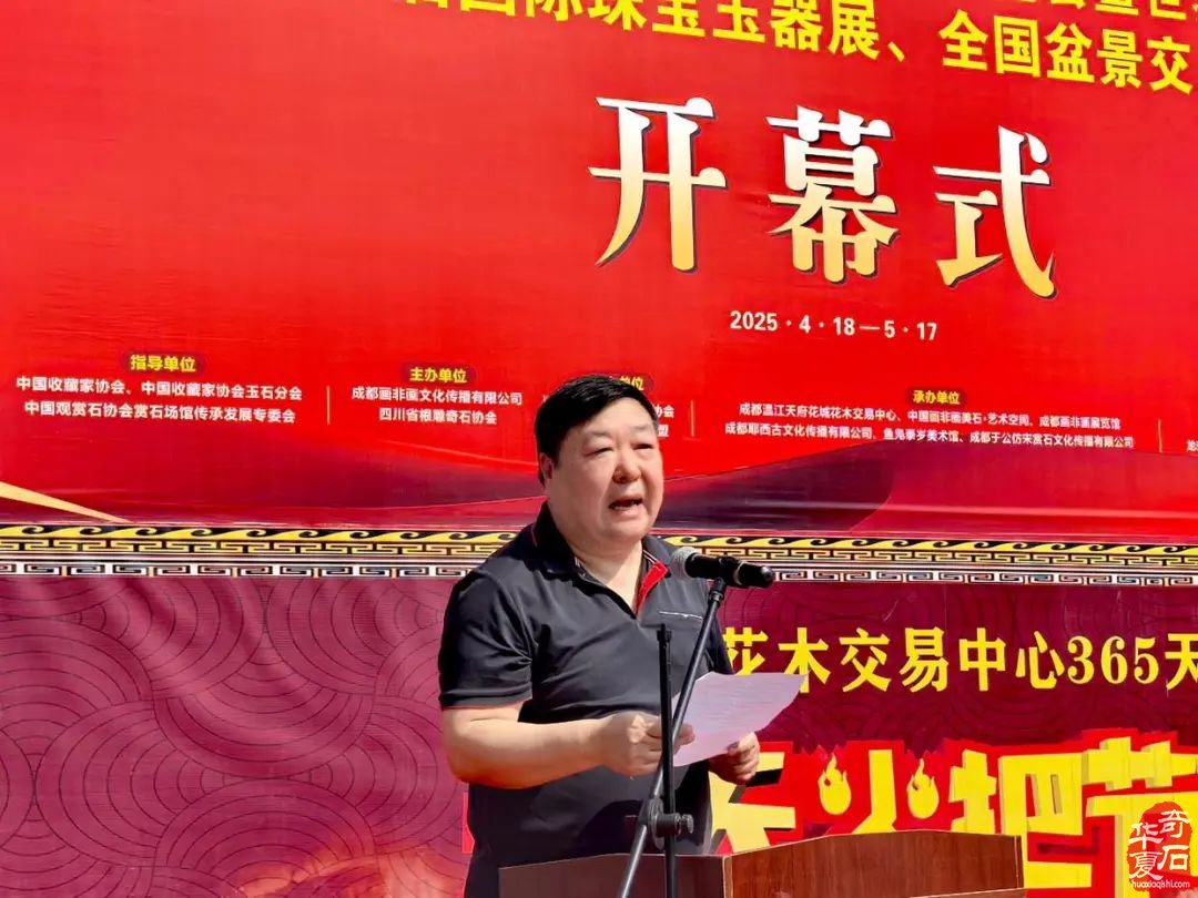 成都二十三届中国国际赏石文化博览会启幕