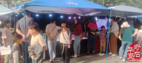 中国(平顶山)第三届国际观赏石文化艺术节.暨全国【蓝鹰杯】观赏石.宝玉石.收藏品精品隆重开幕!