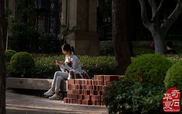 谷雨时节去扫街问唐代诗人元稹的一个问题