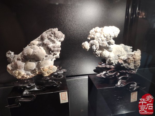 2025中国（蚌埠）第四届赏石玉器文化博览会暨【禹王杯】精品展开幕