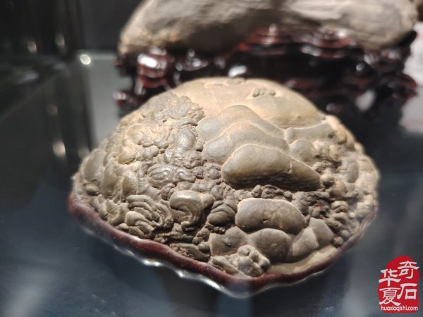 2025中国（蚌埠）第四届赏石玉器文化博览会暨【禹王杯】精品展开幕