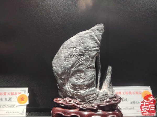 2025中国（蚌埠）第四届赏石玉器文化博览会暨【禹王杯】精品展开幕