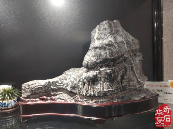 2025中国（蚌埠）第四届赏石玉器文化博览会暨【禹王杯】精品展开幕