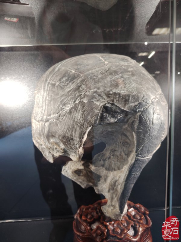 2025中国（蚌埠）第四届赏石玉器文化博览会暨【禹王杯】精品展开幕