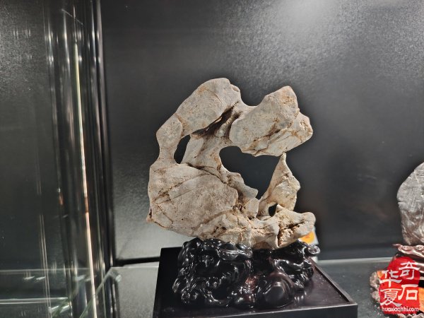 2025中国（蚌埠）第四届赏石玉器文化博览会暨【禹王杯】精品展开幕