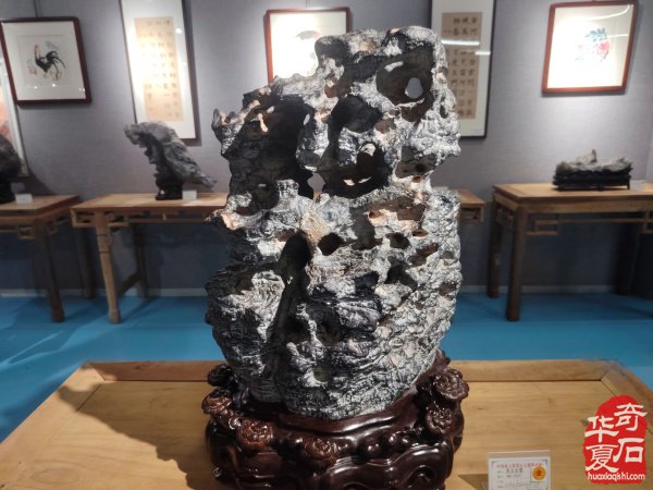 2025中国（蚌埠）第四届赏石玉器文化博览会暨【禹王杯】精品展开幕