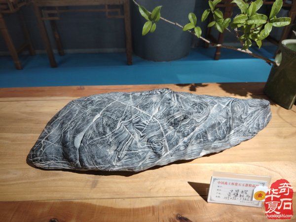 2025中国（蚌埠）第四届赏石玉器文化博览会暨【禹王杯】精品展开幕