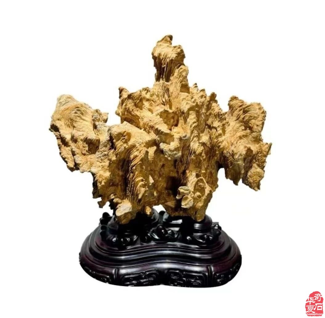 走啊！相约天津520，赏石正清和 
