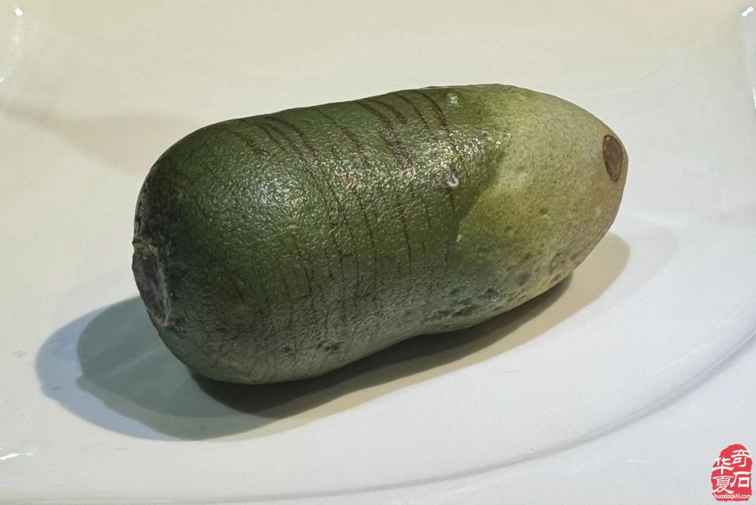 石友们约起!走北京看国博石展!