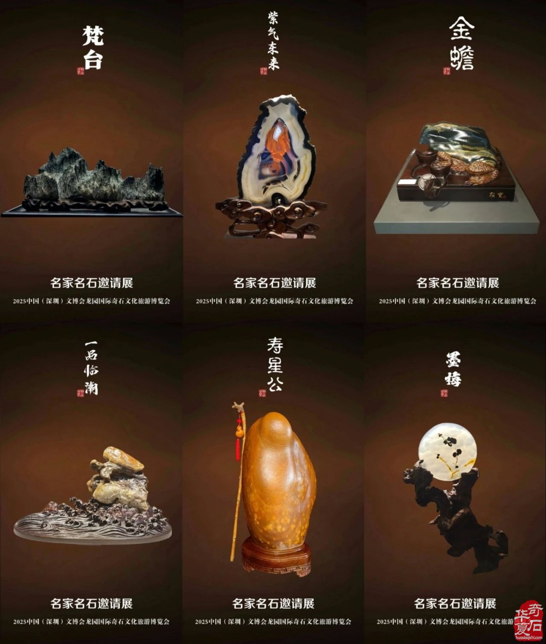 龙园展倒计时Day7|藏锋于时 见微知著