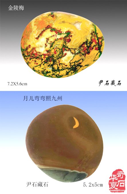藏石精彩蕴灵性画竹生风四海闻— 记“江南一竹”尹石先生