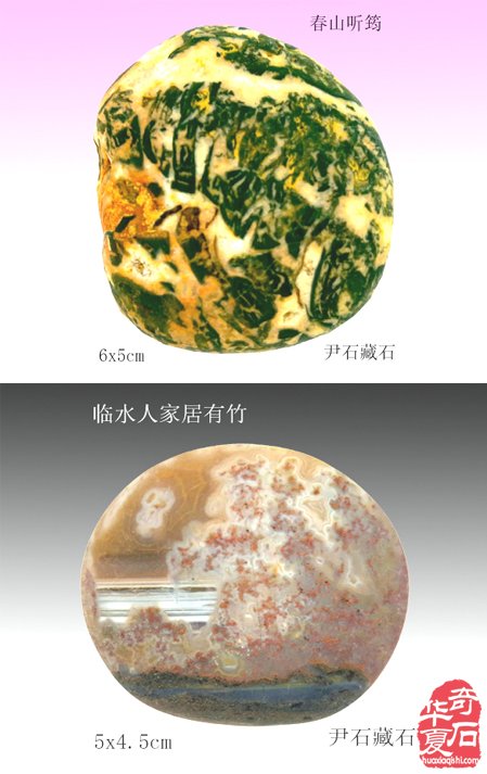 藏石精彩蕴灵性画竹生风四海闻— 记“江南一竹”尹石先生