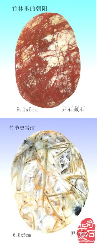 藏石精彩蕴灵性画竹生风四海闻— 记“江南一竹”尹石先生