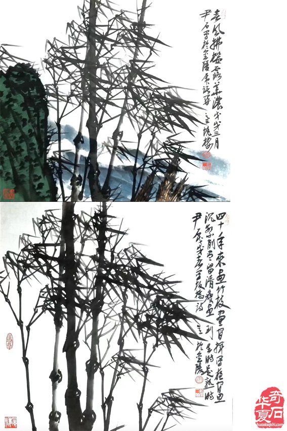 藏石精彩蕴灵性画竹生风四海闻— 记“江南一竹”尹石先生