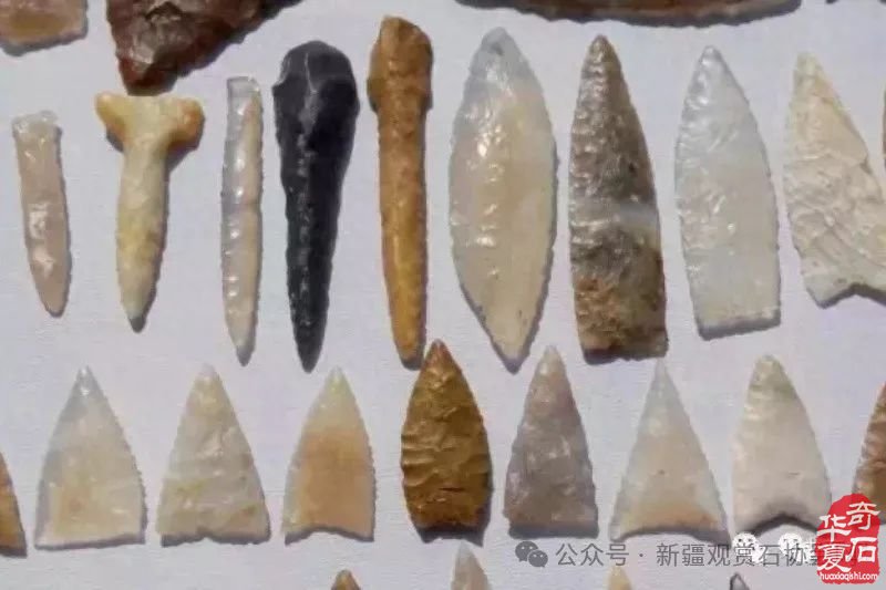阿拉善盟考古发掘:解码文明基因 构筑全球文化自信新坐标