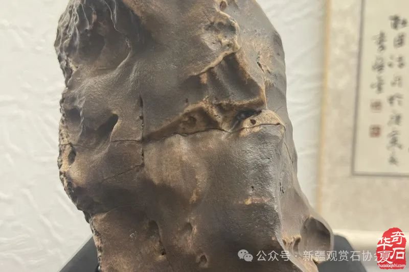 阿拉善盟考古发掘:解码文明基因 构筑全球文化自信新坐标
