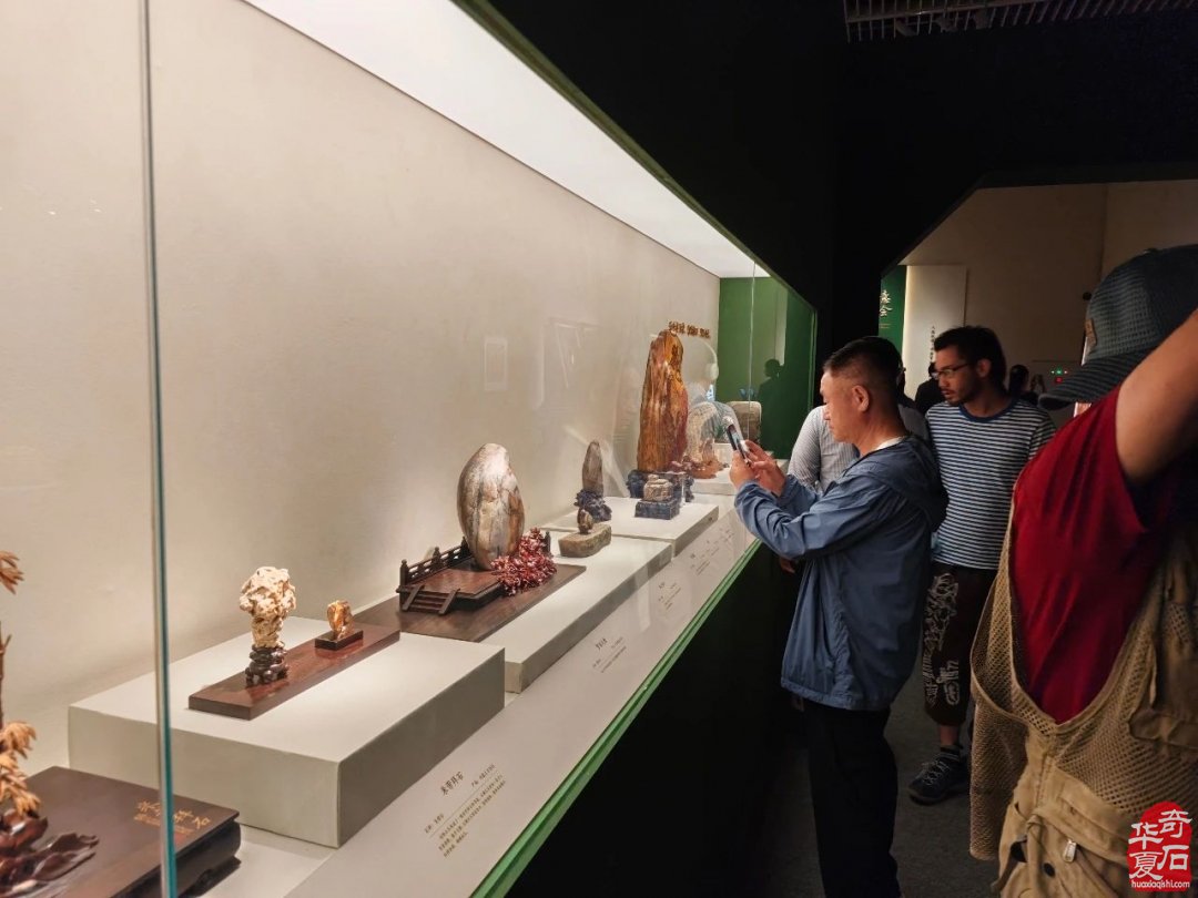 “石韵天成——中国观赏石艺术展”开幕