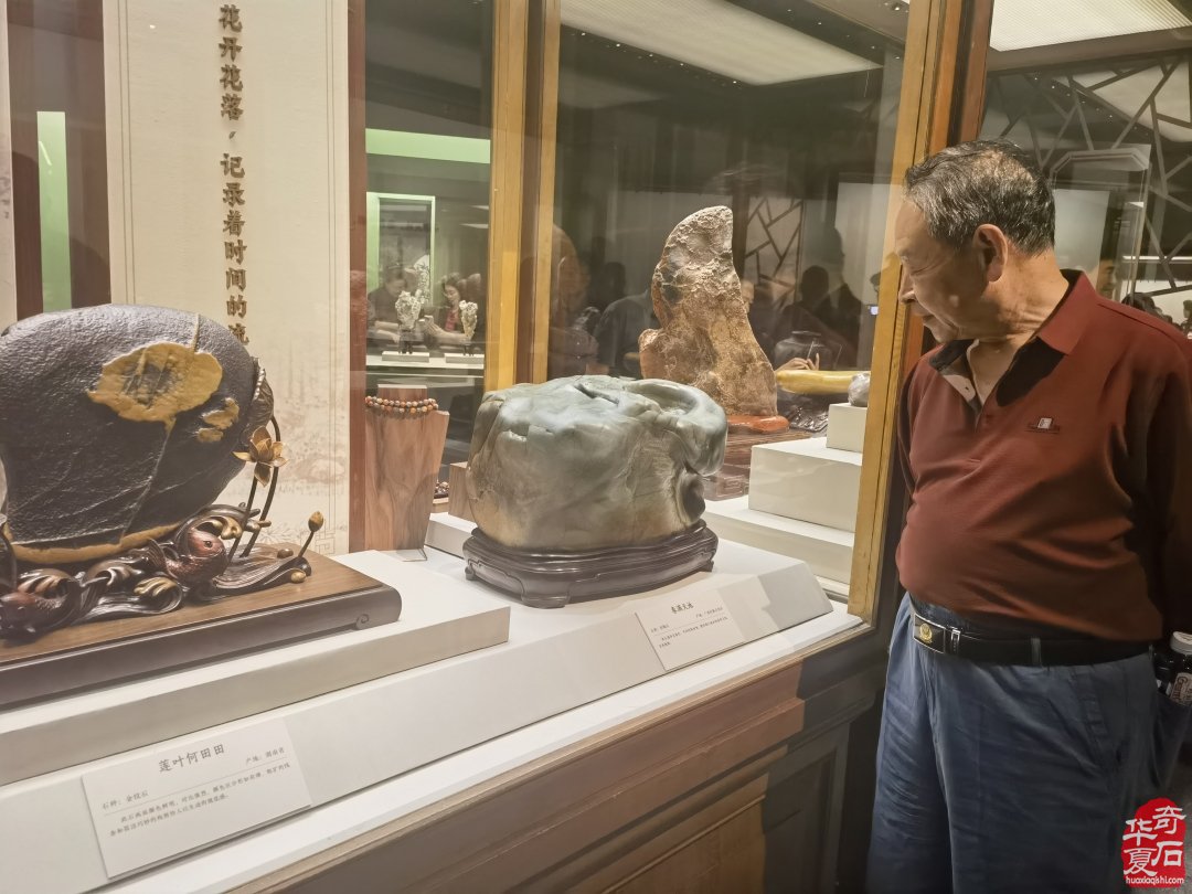 石界恩爱夫妻不肯缺席国博奇石展