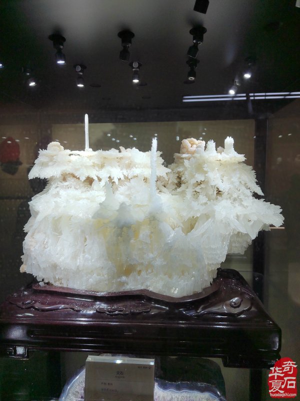 洛阳赏石文化活动万里行来到沧州