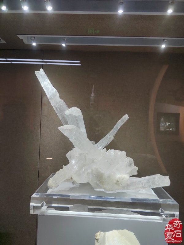 洛阳赏石文化活动万里行来到沧州
