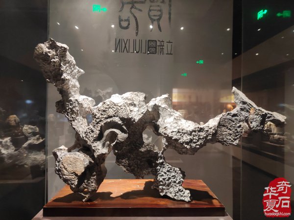 洛阳赏石文化活动万里行来到沧州
