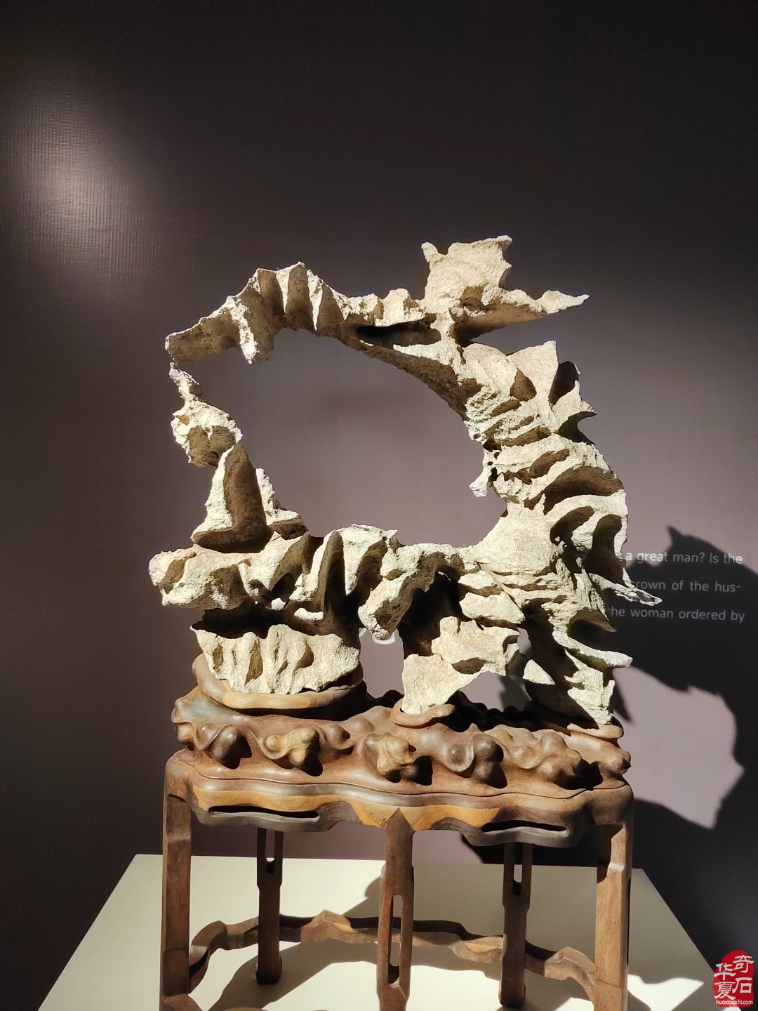 洛阳赏石文化活动万里行来到沧州