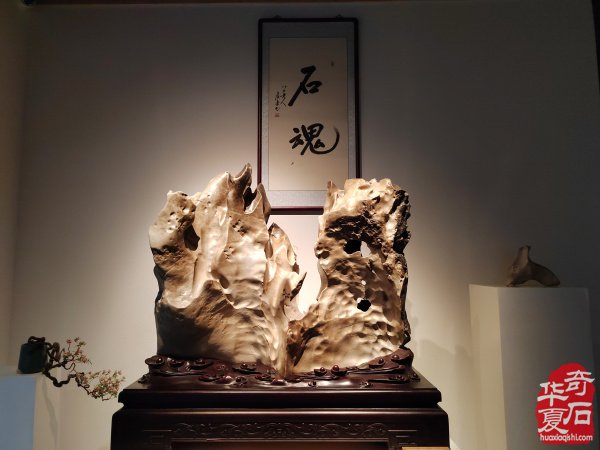 洛阳赏石文化活动万里行来到沧州