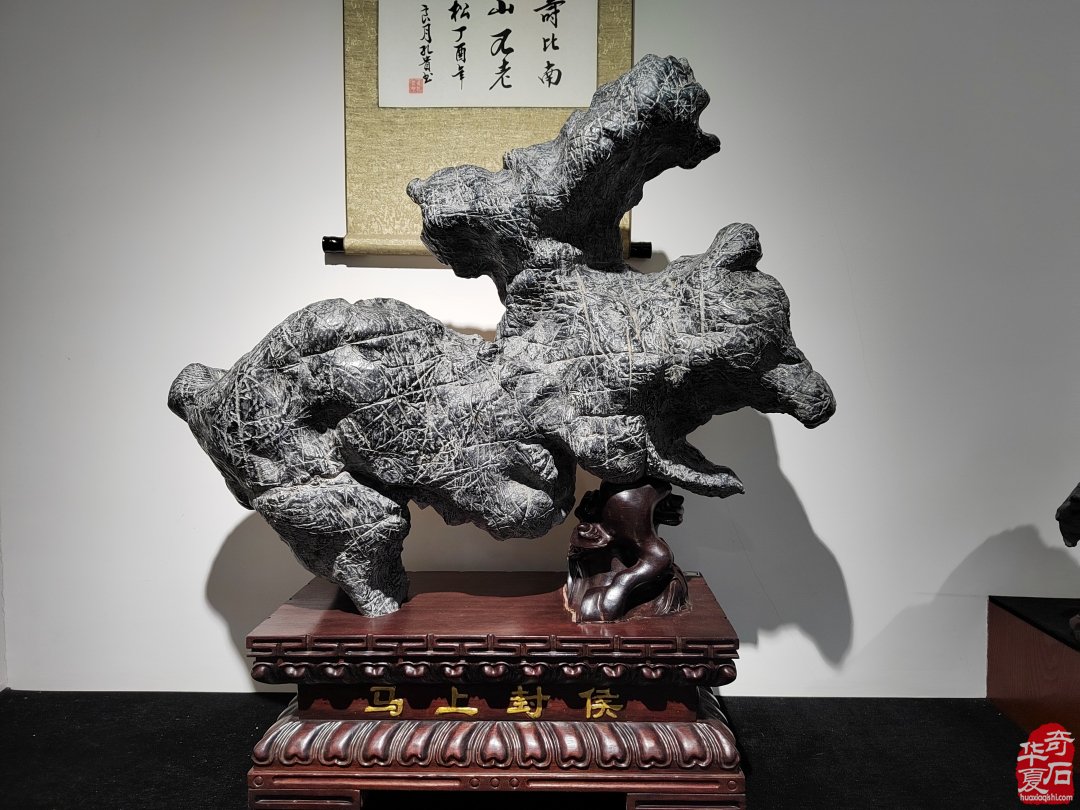 洛阳赏石文化活动万里行夜访大连