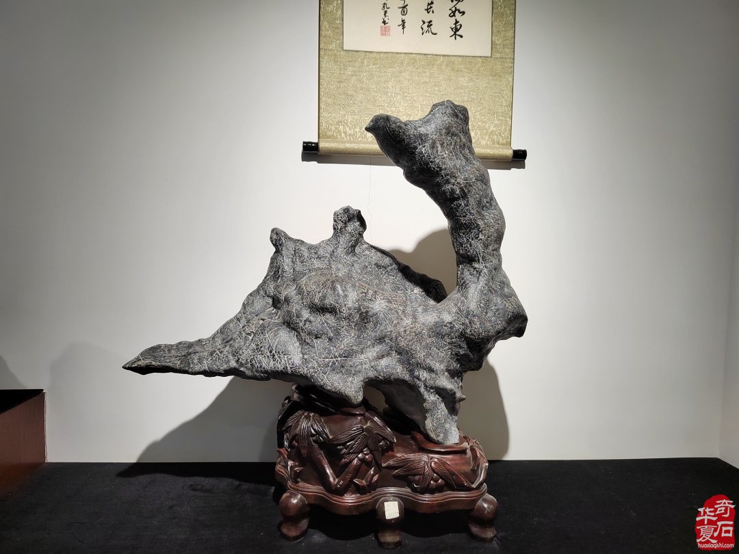 洛阳赏石文化活动万里行夜访大连