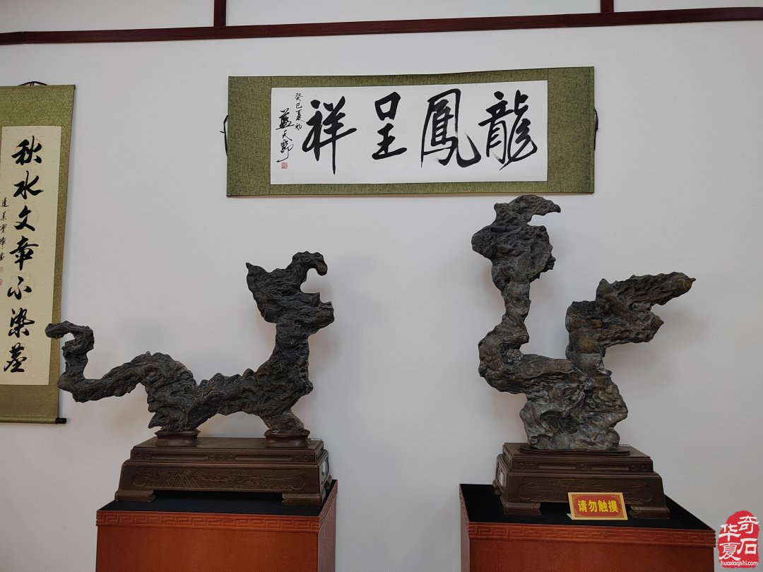 洛阳赏石文化活动万里行夜访大连