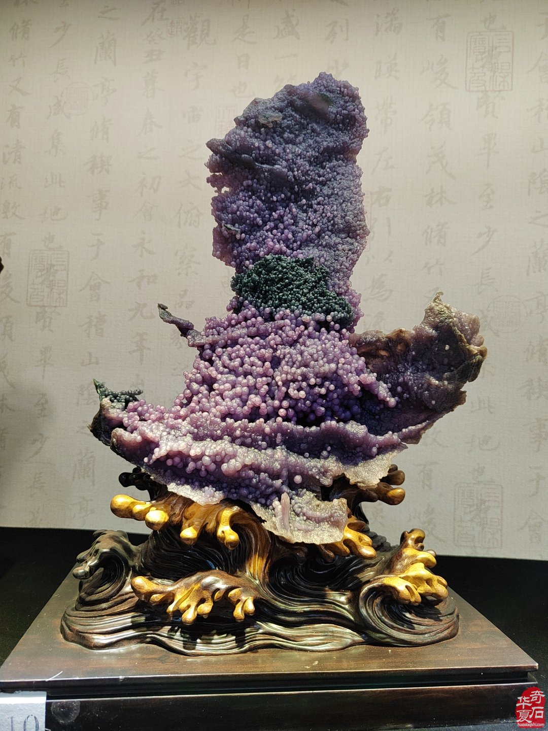 洛阳赏石文化活动万里行夜访大连