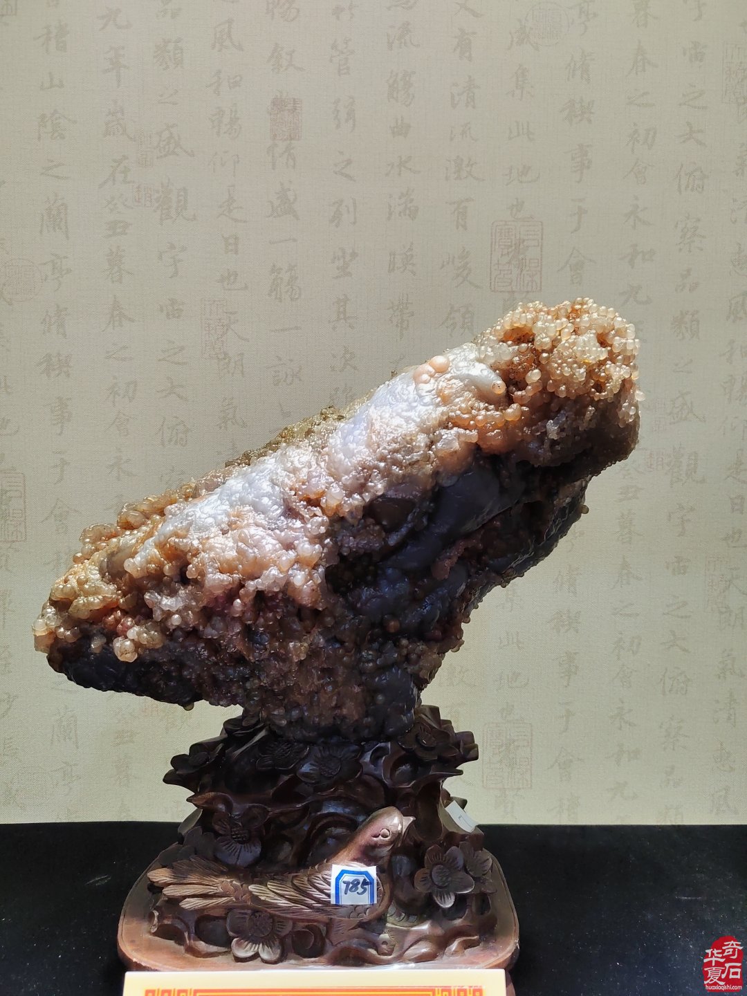 洛阳赏石文化活动万里行夜访大连
