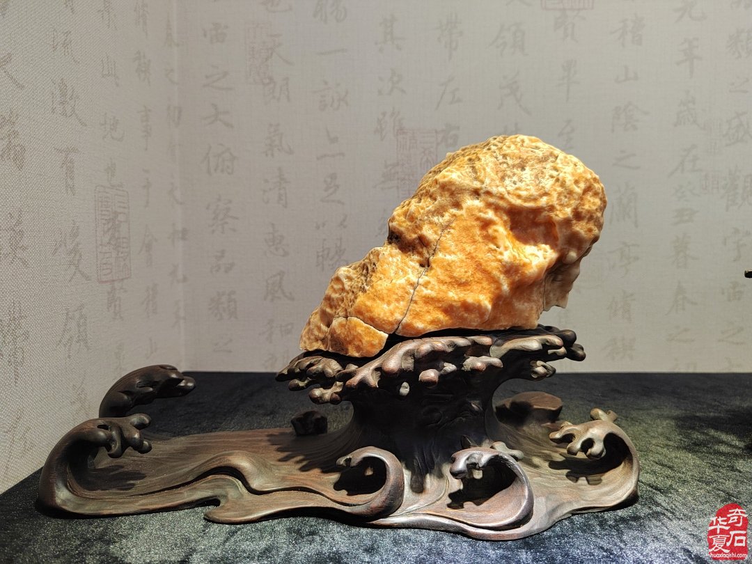 洛阳赏石文化活动万里行夜访大连