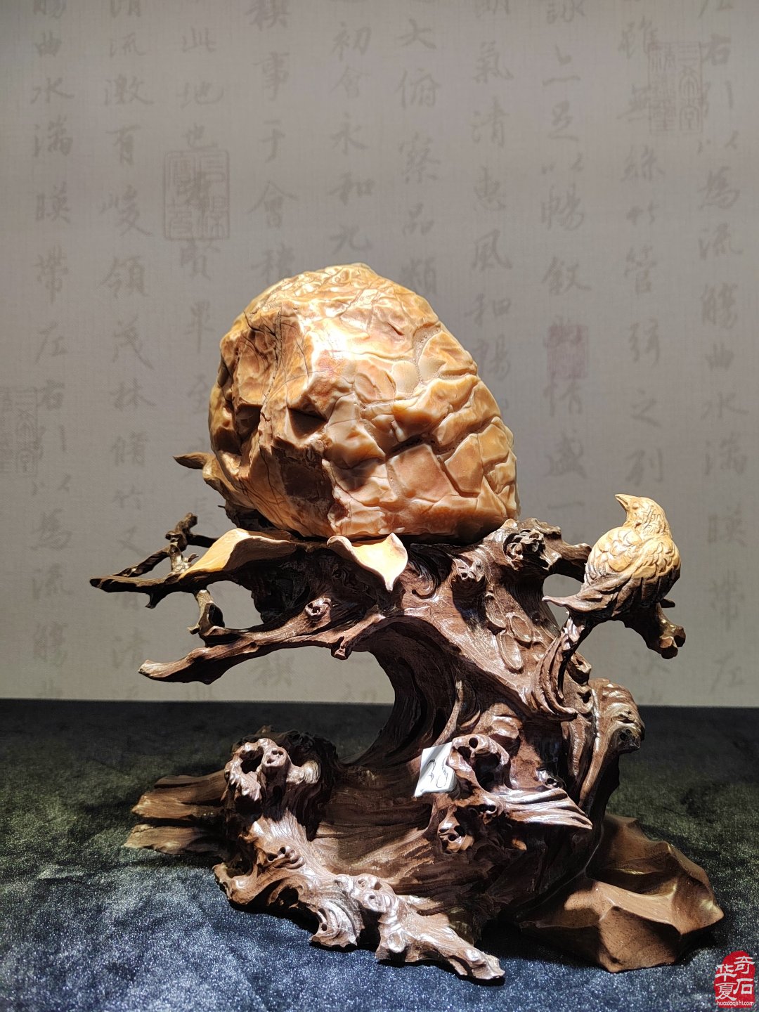 洛阳赏石文化活动万里行夜访大连