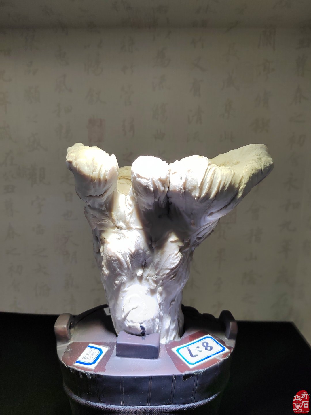 洛阳赏石文化活动万里行夜访大连