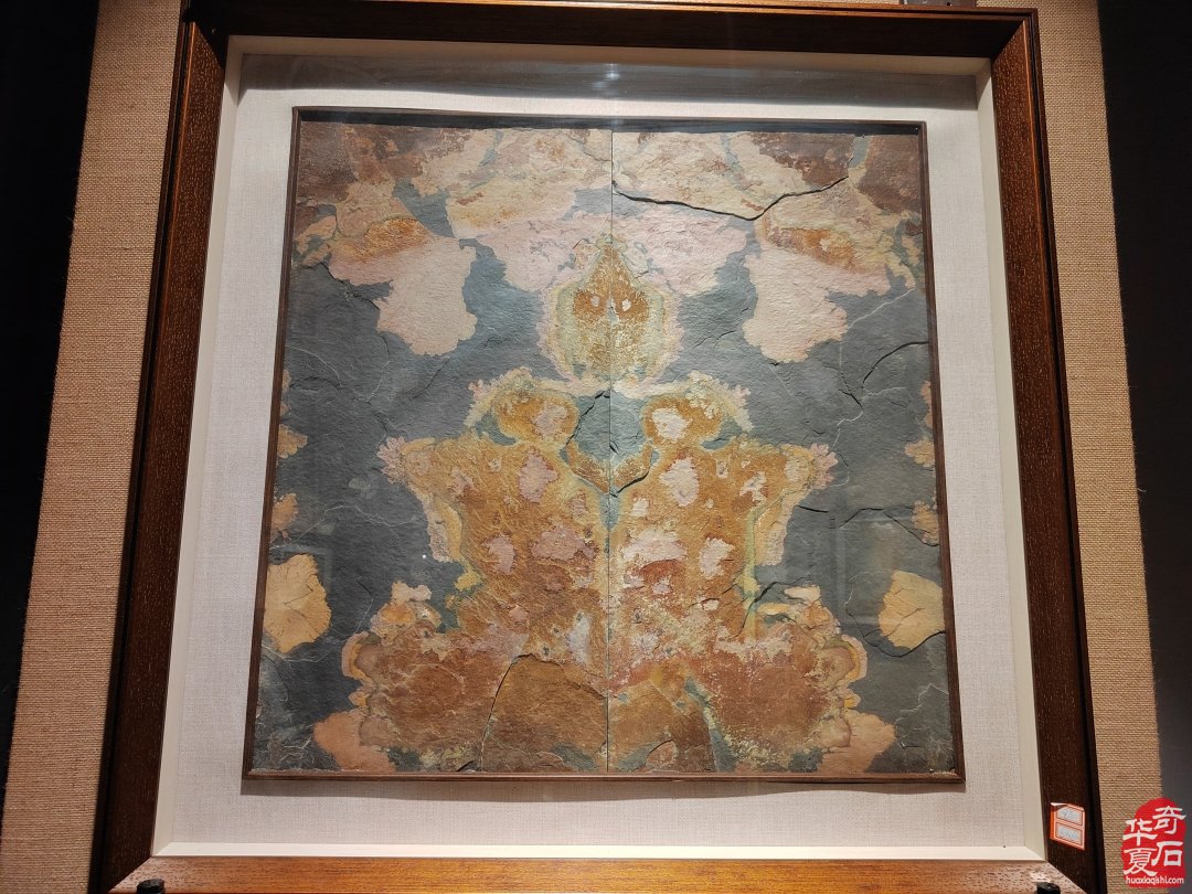 石界著名藏家马金悦与《涿州市赏石艺术馆》