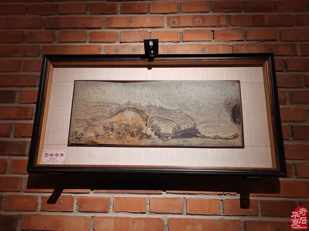 石界著名藏家马金悦与《涿州市赏石艺术馆》