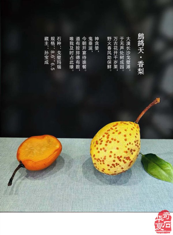 新的一期《于公赏石》杂志上线啦
