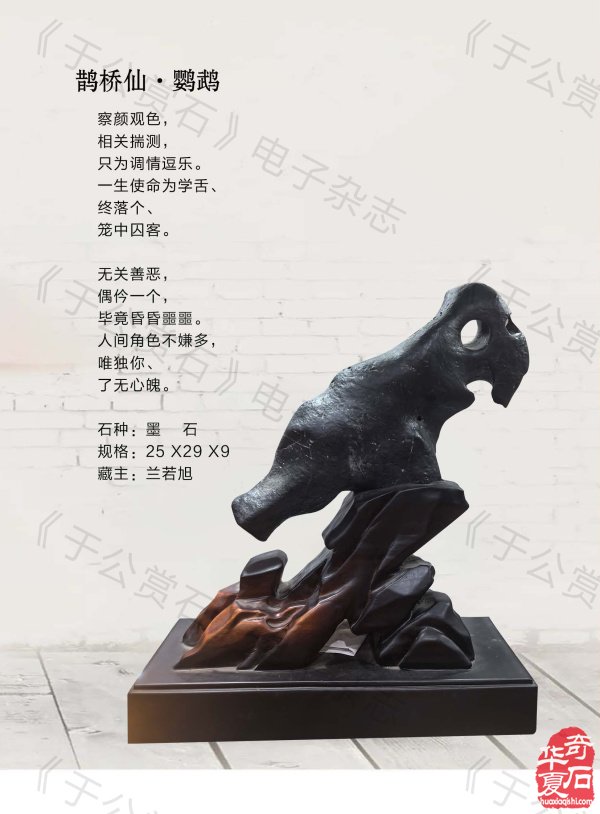 新的一期《于公赏石》杂志上线啦