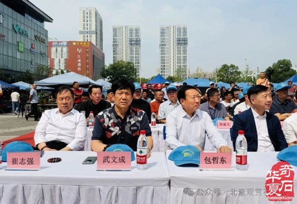 2025武汉客厅石博会十周年庆典盛大开幕