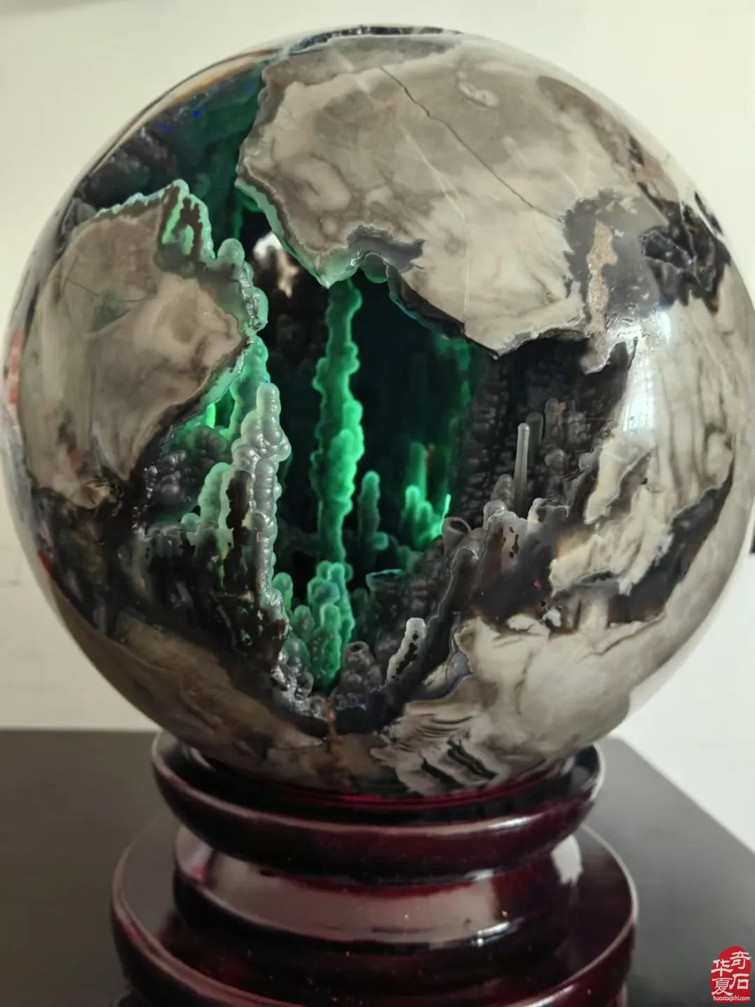 《火山石林》专题报道:奇石我不想说!