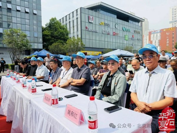2025武汉客厅石博会十周年庆典盛大开幕