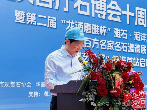 2025武汉客厅石博会十周年庆典盛大开幕