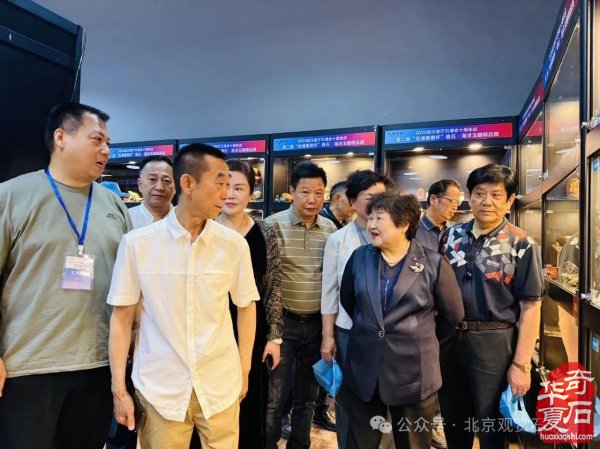 2025武汉客厅石博会十周年庆典盛大开幕