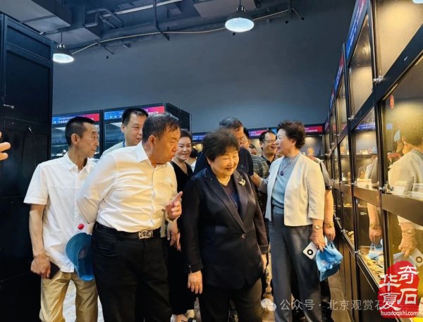 2025武汉客厅石博会十周年庆典盛大开幕