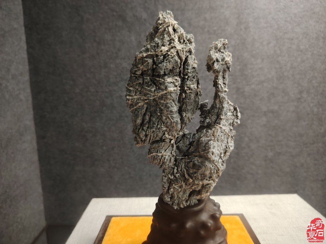 英石:凝固的诗意,流动的永恒