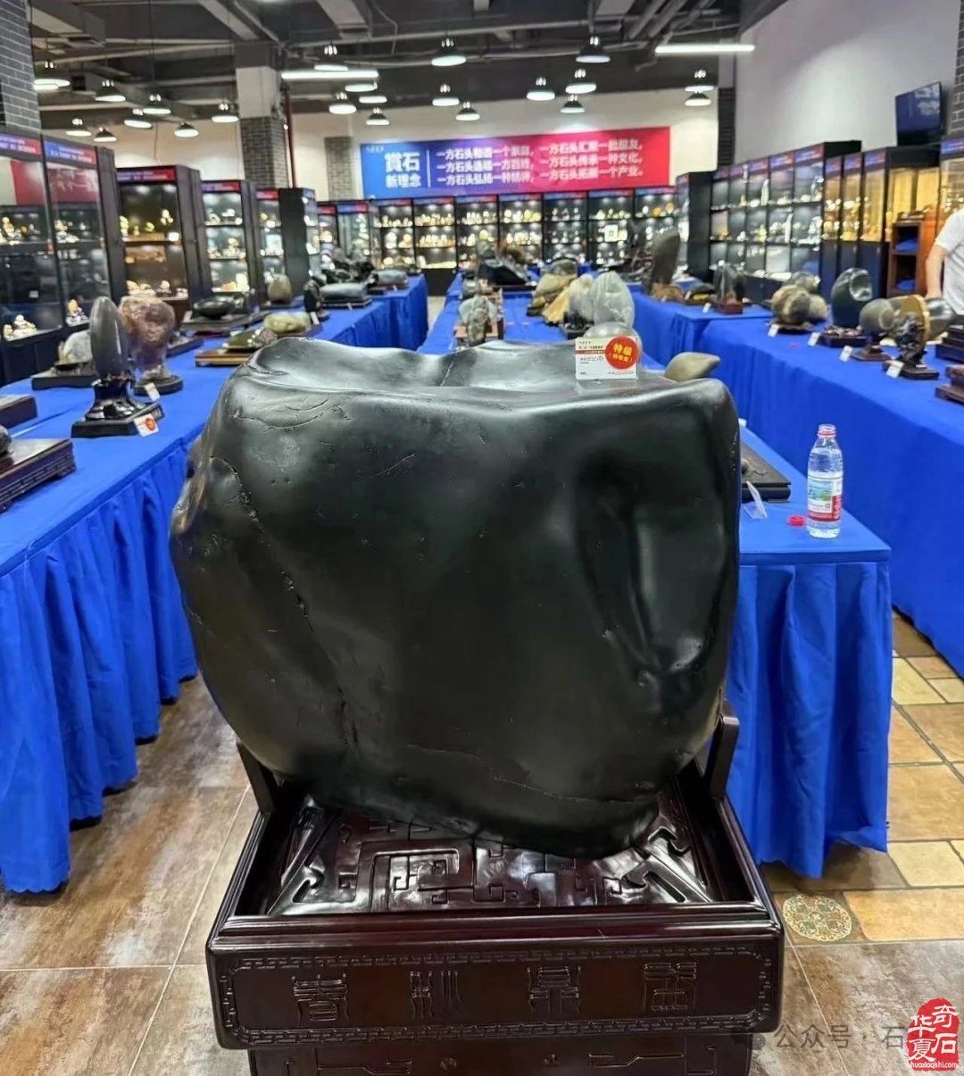 热烈祝贺天雕艺术专业委员会成立